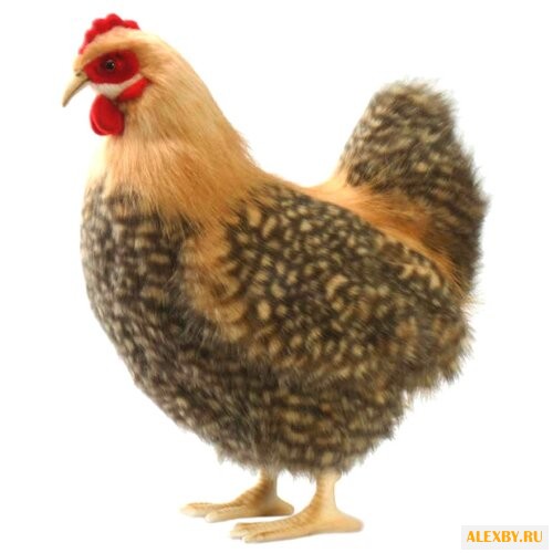 Мягкая игрушка Hansa Курица