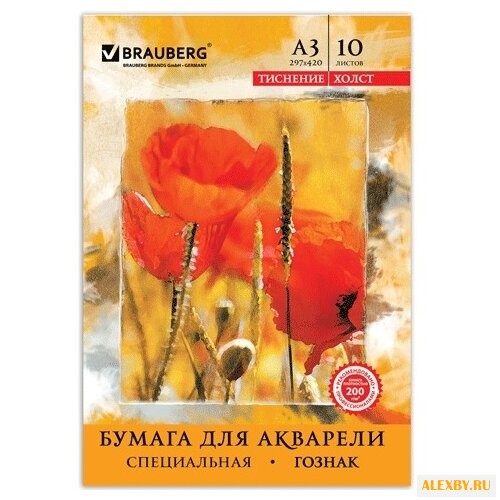 Папка для акварели BRAUBERG