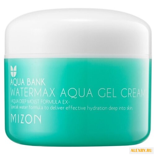 Mizon WATERMAX Aqua Gel Cream