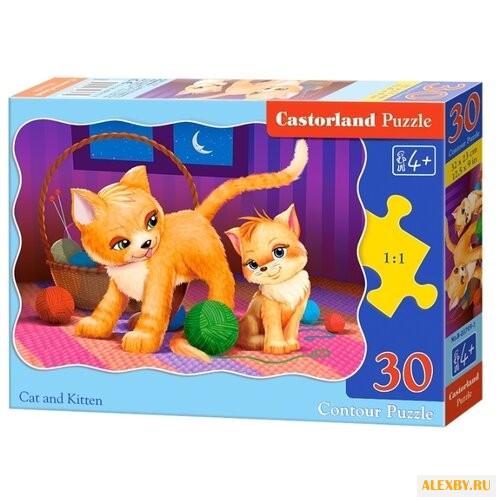 Пазл Castorland Котята В-03709