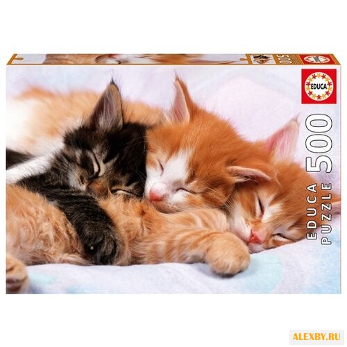Пазл Educa Котята 17087
