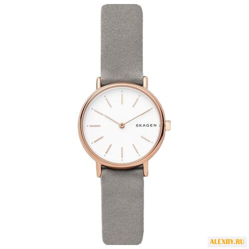 Наручные часы SKAGEN SKW2697