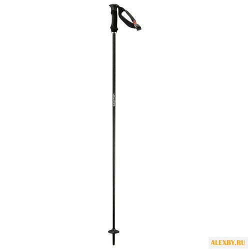 Палки для горных лыж Salomon