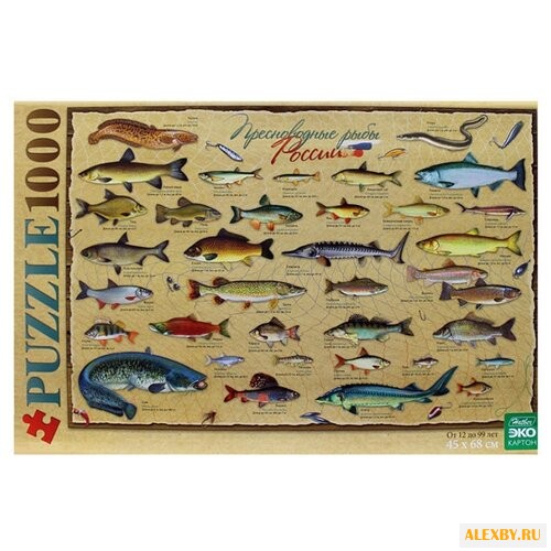 Пазл Hatber КРАФТ ЭКО Рыбалка