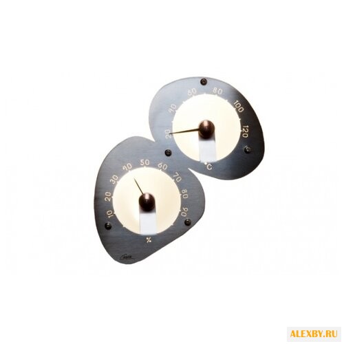 Термометр Cariitti 1545822