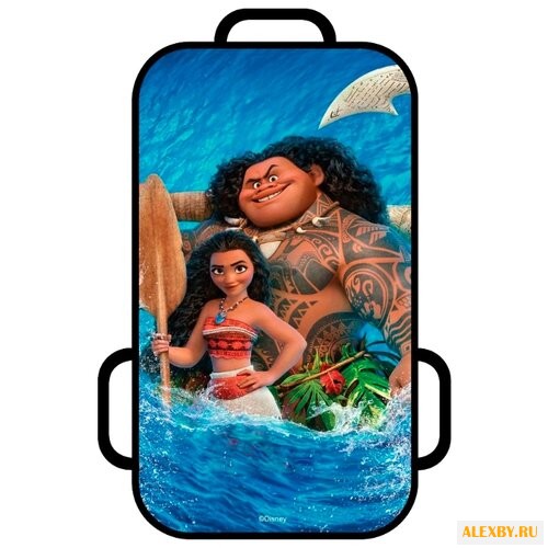 Ледянка 1 TOY Моана Т10448