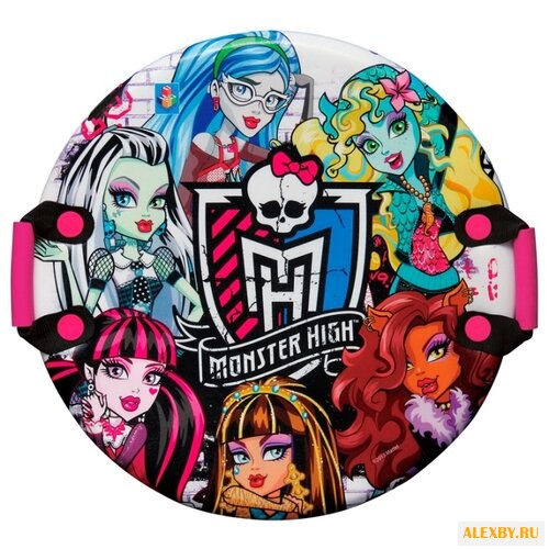 Ледянка 1 TOY Monster High Т56338