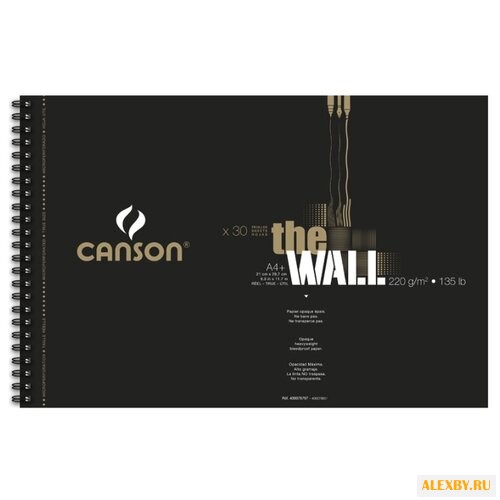 Скетчбук Canson The Wall 43.7