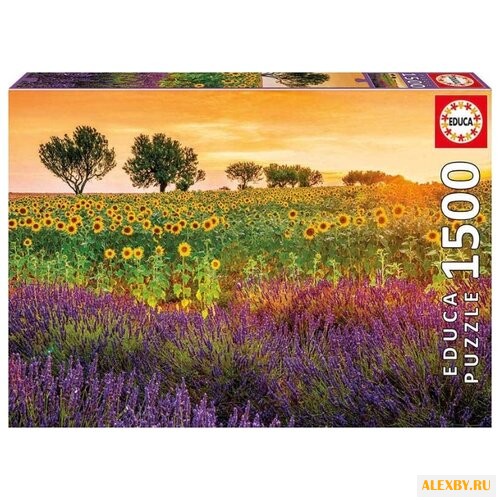Пазл Educa Поле подсолнухов и