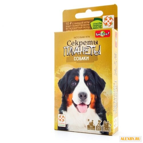 Настольная игра Стиль Жизни