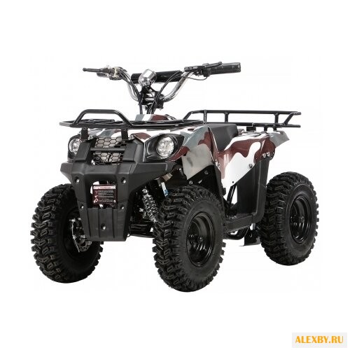 Joy Automatic Квадроцикл