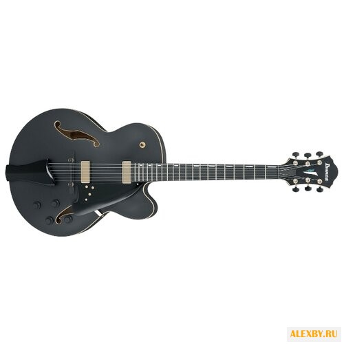 Полуакустическая гитара Ibanez