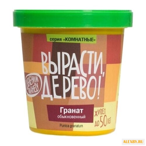 Набор для выращивания Вырасти