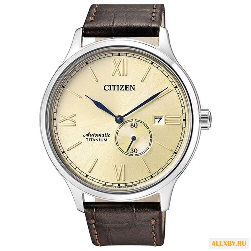 Наручные часы CITIZEN NJ0090-13P