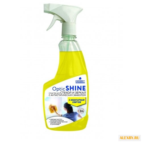 Спрей PROSEPT Optic Shine для