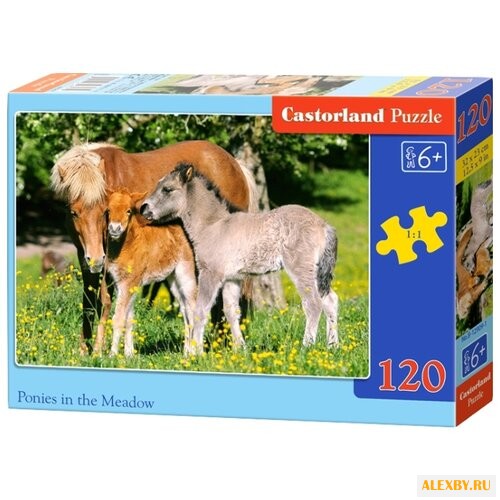 Пазл Castorland Ponies in the