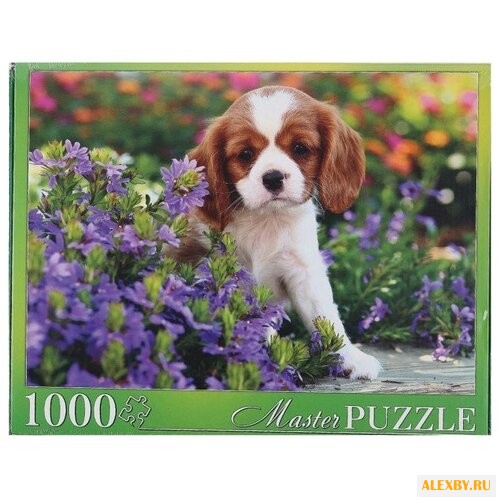 Пазл Рыжий кот Puzzolini Щенок