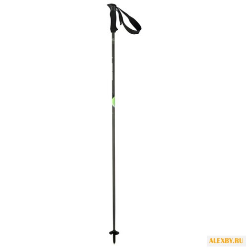 Палки для горных лыж Elan