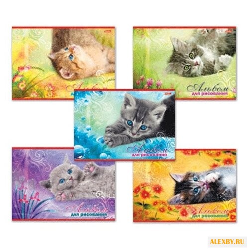 Альбом Hatber Котята 29.7 х