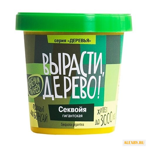 Набор для выращивания Вырасти