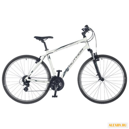 Горный гибрид Author Horizon 2018