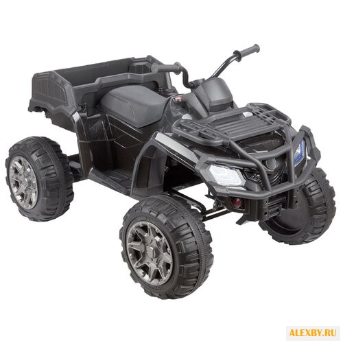 Toyland Квадроцикл BDM 0909