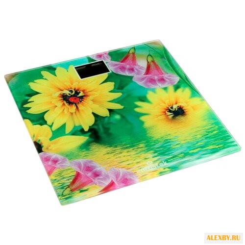 Весы Eurostek ЕВS-2607