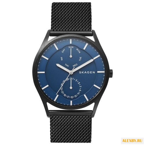 Наручные часы SKAGEN SKW6450