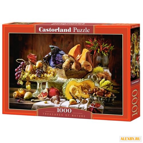 Пазл Castorland Treasure of