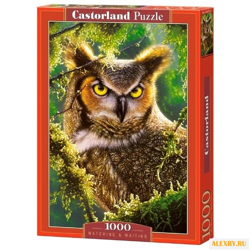 Пазл Castorland Watching &