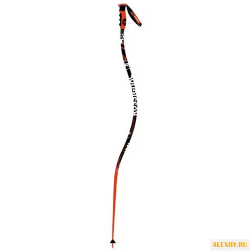 Палки для горных лыж Rossignol