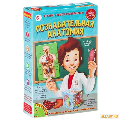 Набор BONDIBON Познавательная