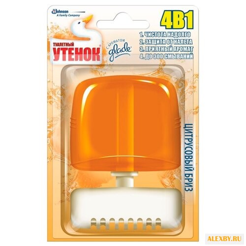 Туалетный утенок туалетный блок