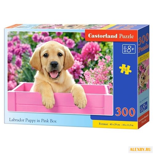 Пазл Castorland Labrador Puppy