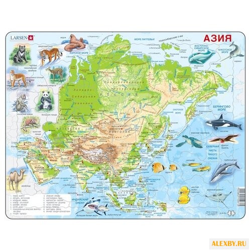 Рамка-вкладыш Larsen Животные