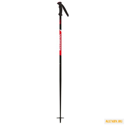 Палки для горных лыж Rossignol