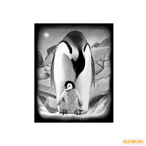 Гравюра Reeves Пингвин PPSF45