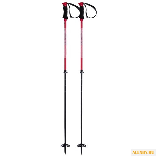 Палки для горных лыж Volkl