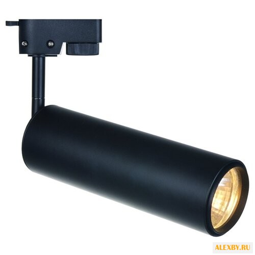 Arte Lamp A4235PL-1BK