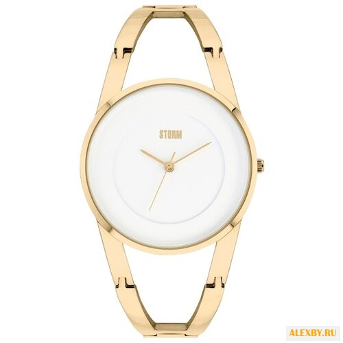 Наручные часы STORM Odesa Gold