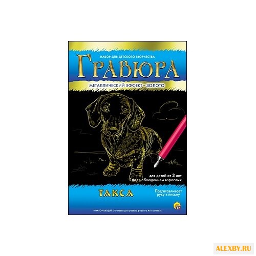 Гравюра Рыжий кот Такса в