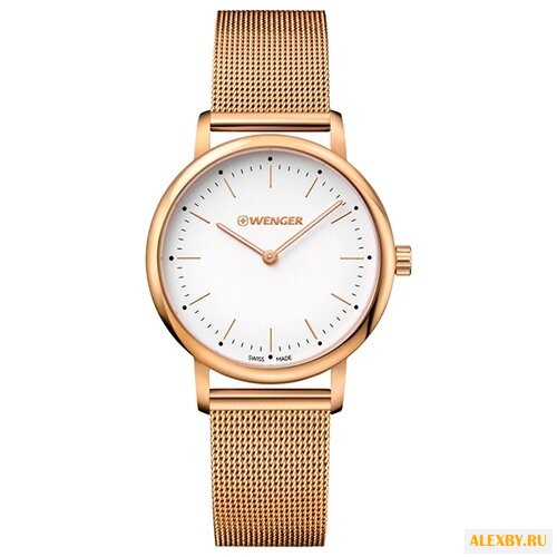 Наручные часы WENGER 01.1721.113