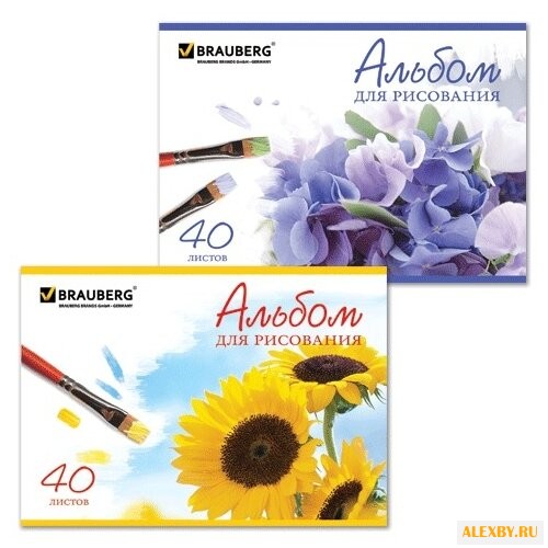 Альбом для рисования BRAUBERG