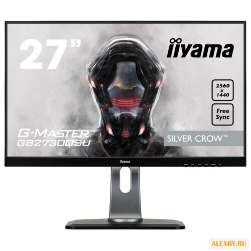 Монитор Iiyama G-Master