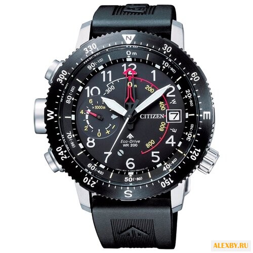 Наручные часы CITIZEN BN4044-15E