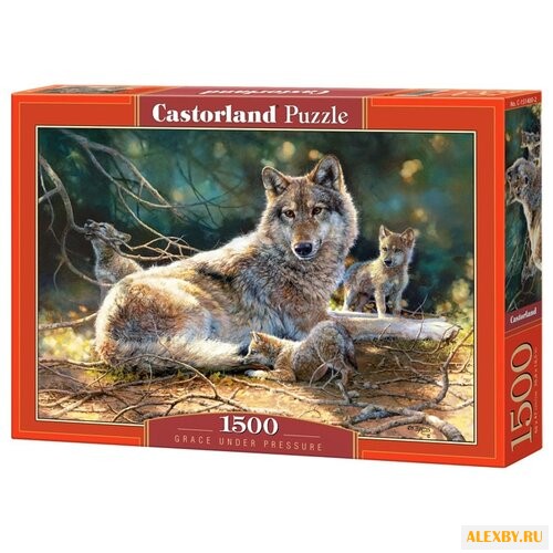 Пазл Castorland Grace under