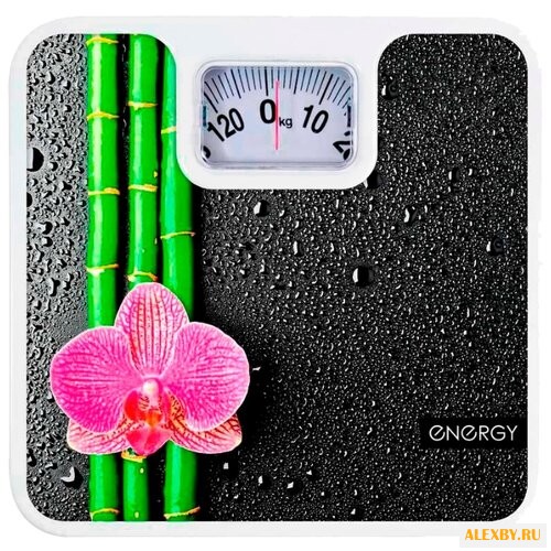 Весы Energy ENM-409D
