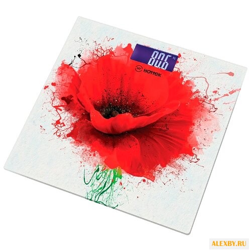 Весы Hottek HT-962-009