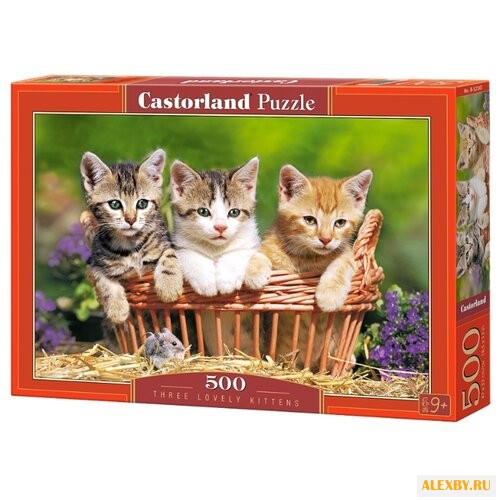 Пазл Castorland Three Lovely