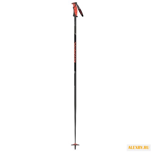 Палки для горных лыж Rossignol